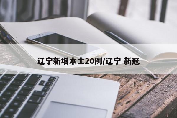 辽宁新增本土20例/辽宁 新冠