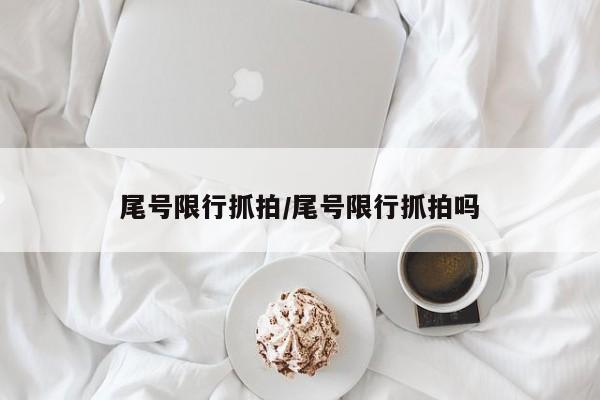 尾号限行抓拍/尾号限行抓拍吗